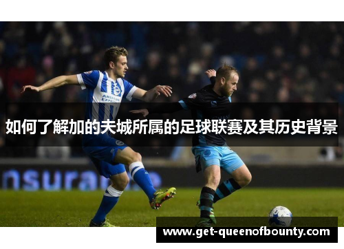 如何了解加的夫城所属的足球联赛及其历史背景