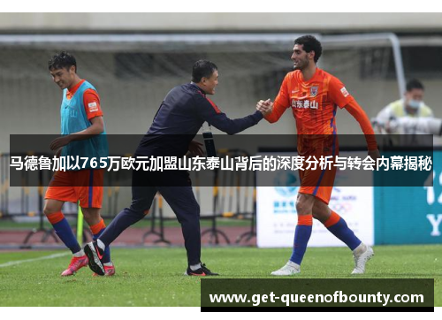 马德鲁加以765万欧元加盟山东泰山背后的深度分析与转会内幕揭秘