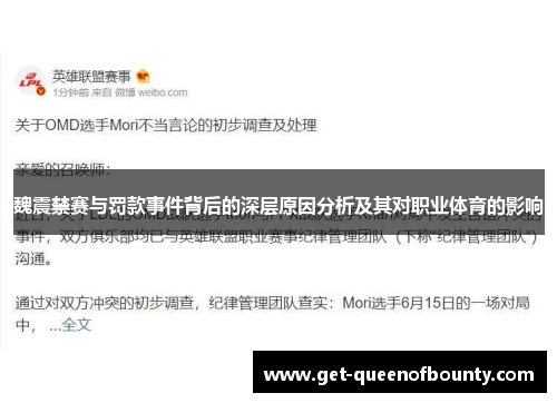 魏震禁赛与罚款事件背后的深层原因分析及其对职业体育的影响
